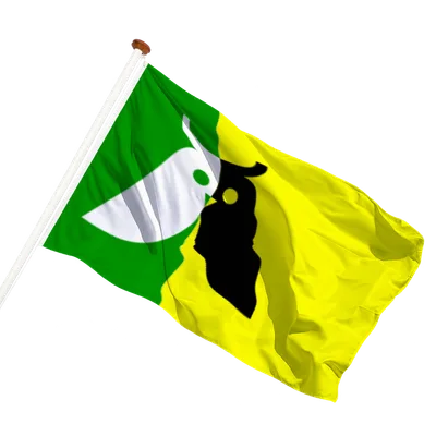 transparent background
