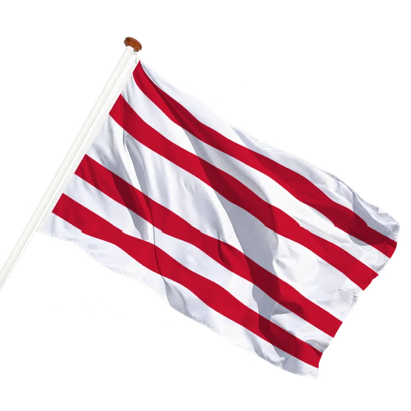 Flag of Gorinchem