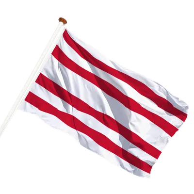 transparent background