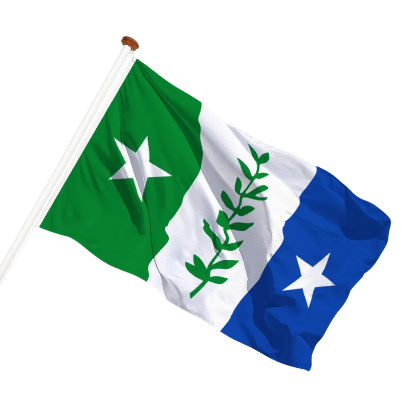Flag of Zwijndrecht