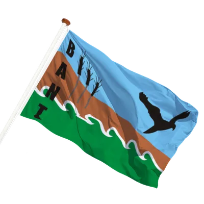transparent background