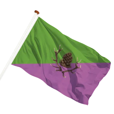 transparent background