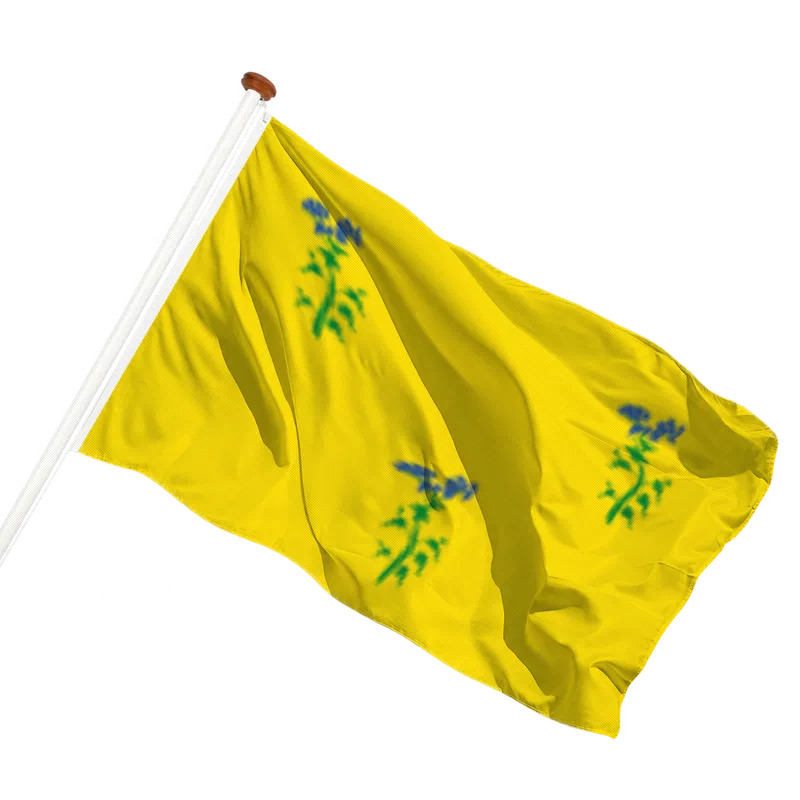 Flag of Zuiddorpe
