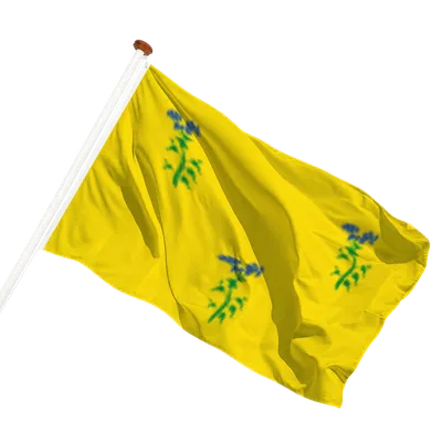 transparent background