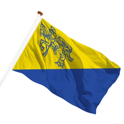 transparent background