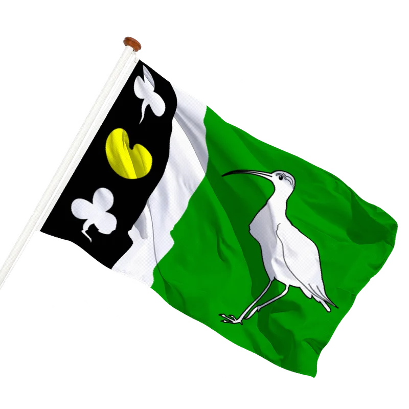 Flag of De Wilp