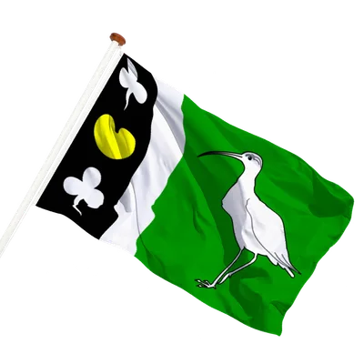 transparent background