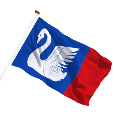transparent background