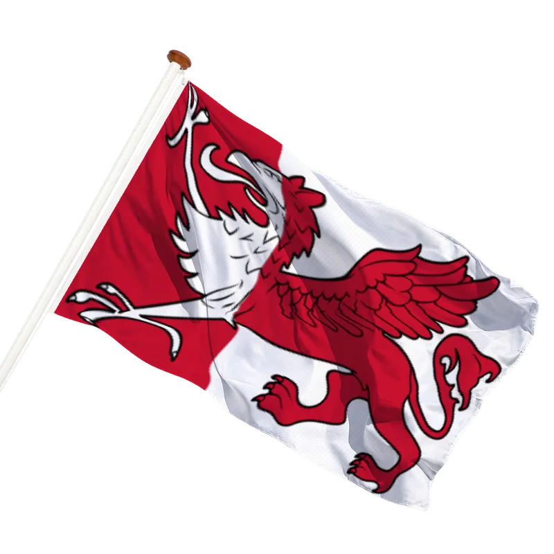 Flag of Ooststellingwerf