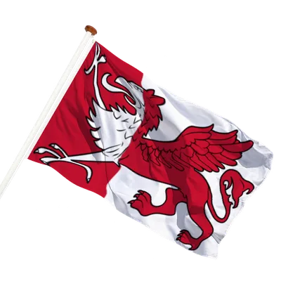 transparent background
