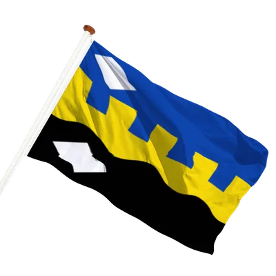 transparent background