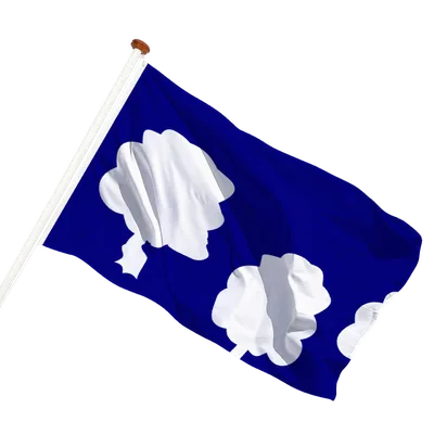 transparent background