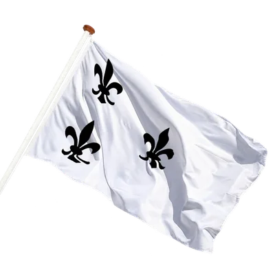 transparent background