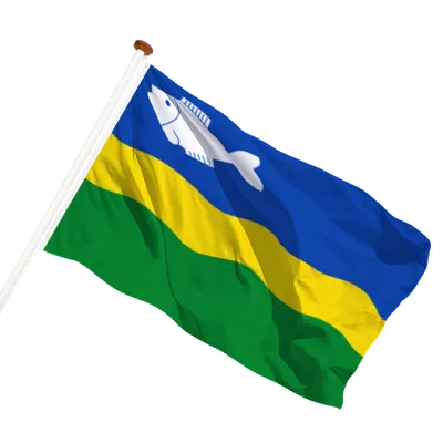 transparent background