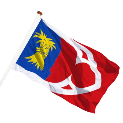 transparent background