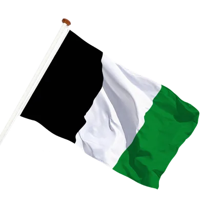 transparent background