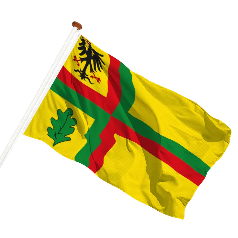Flag of Zuidwolde