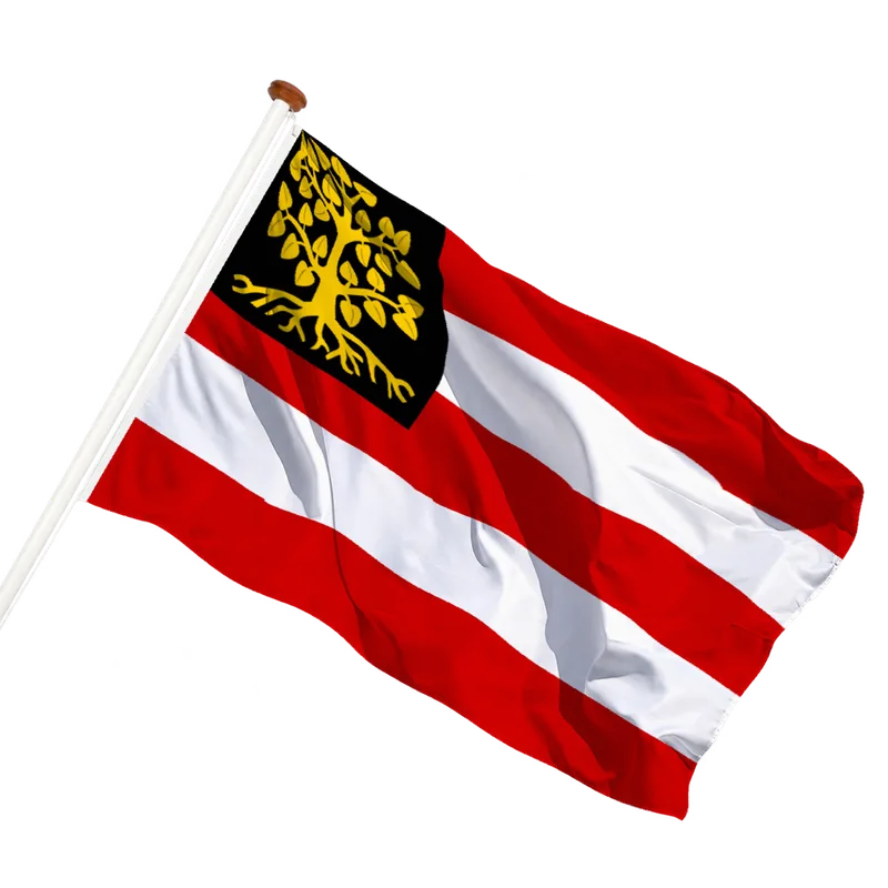 Flag of 's-Hertogenbosch