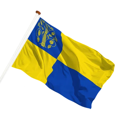transparent background