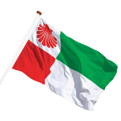 transparent background