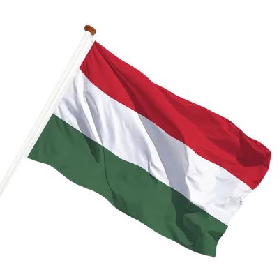 transparent background