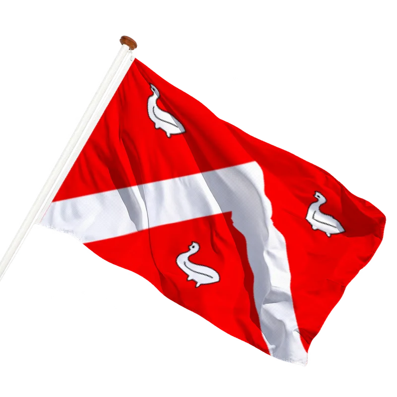 Flag of Ens