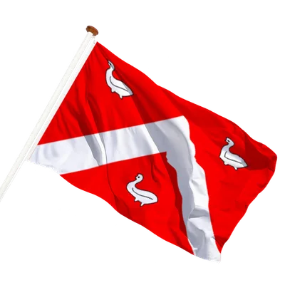transparent background