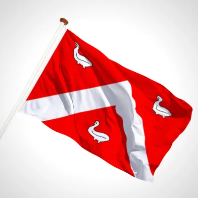 white background