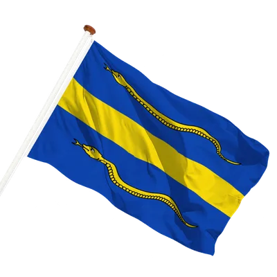 transparent background