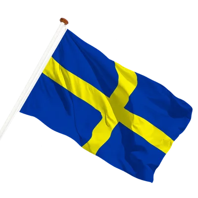 transparent background