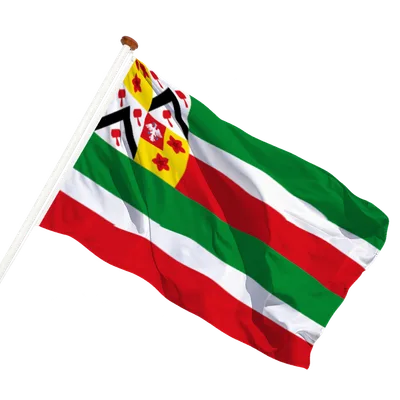 transparent background