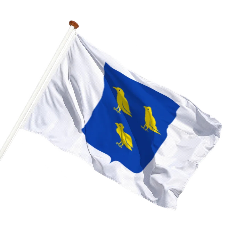 Flag of Waspik