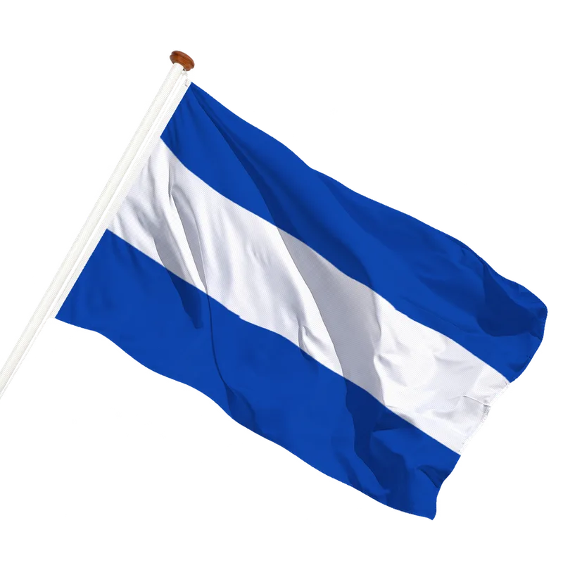 Flag of Zwammerdam