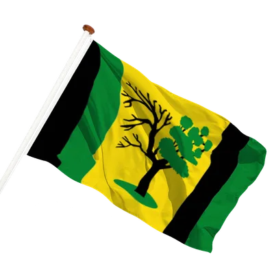 transparent background