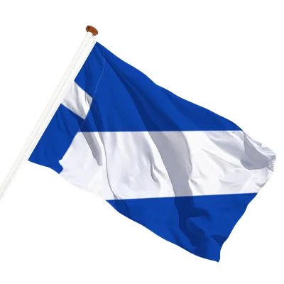 transparent background