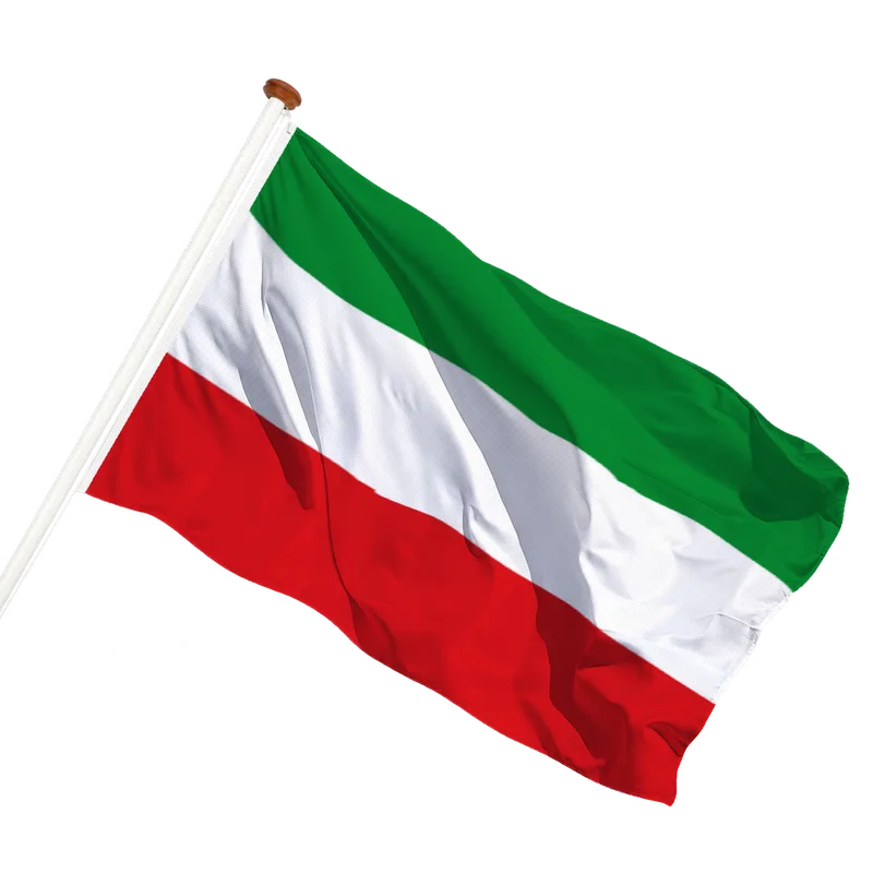 Flag of Oudebildtzijl