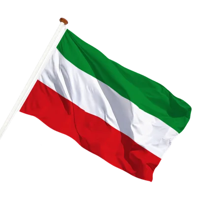 transparent background