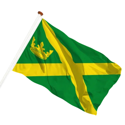 transparent background