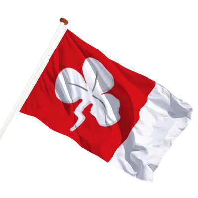 transparent background