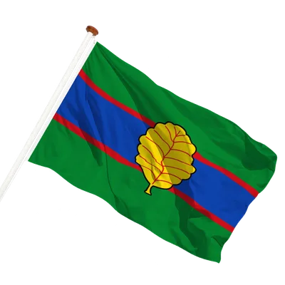 transparent background