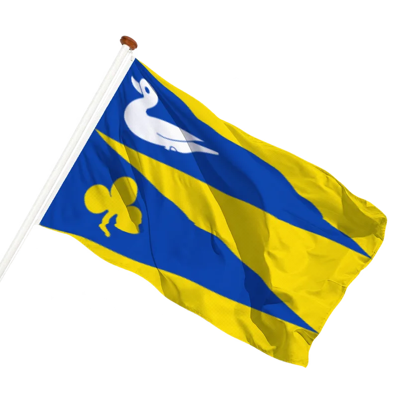 Flag of Waaxens