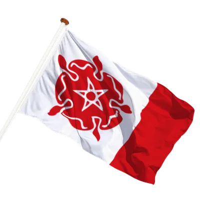 transparent background