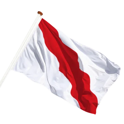 transparent background