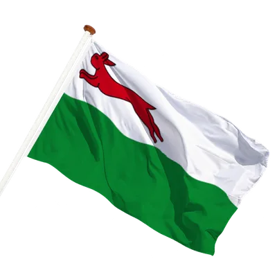 transparent background