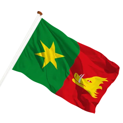 transparent background