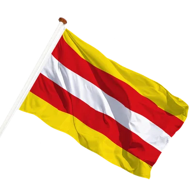 transparent background