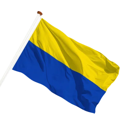 transparent background