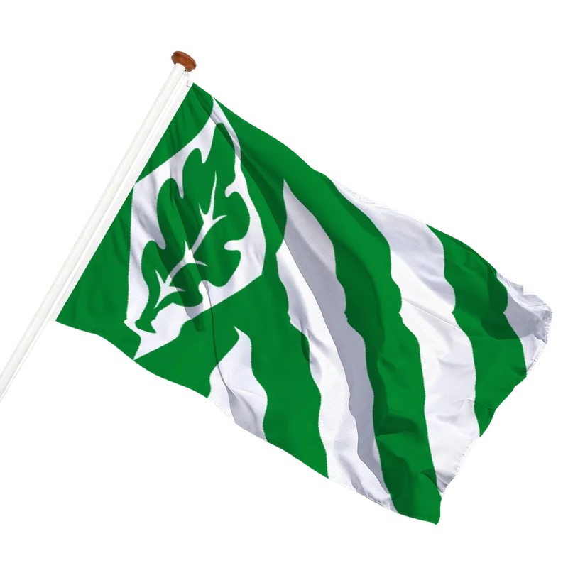 Flag of Vriezenveen