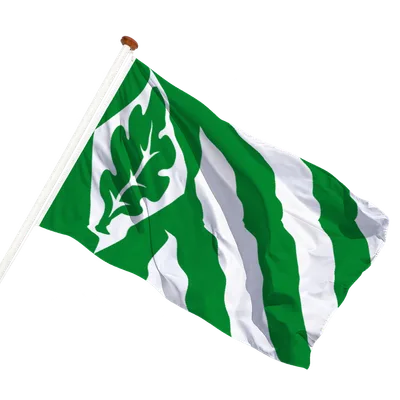transparent background