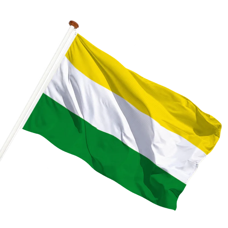 Flag of Wijhe